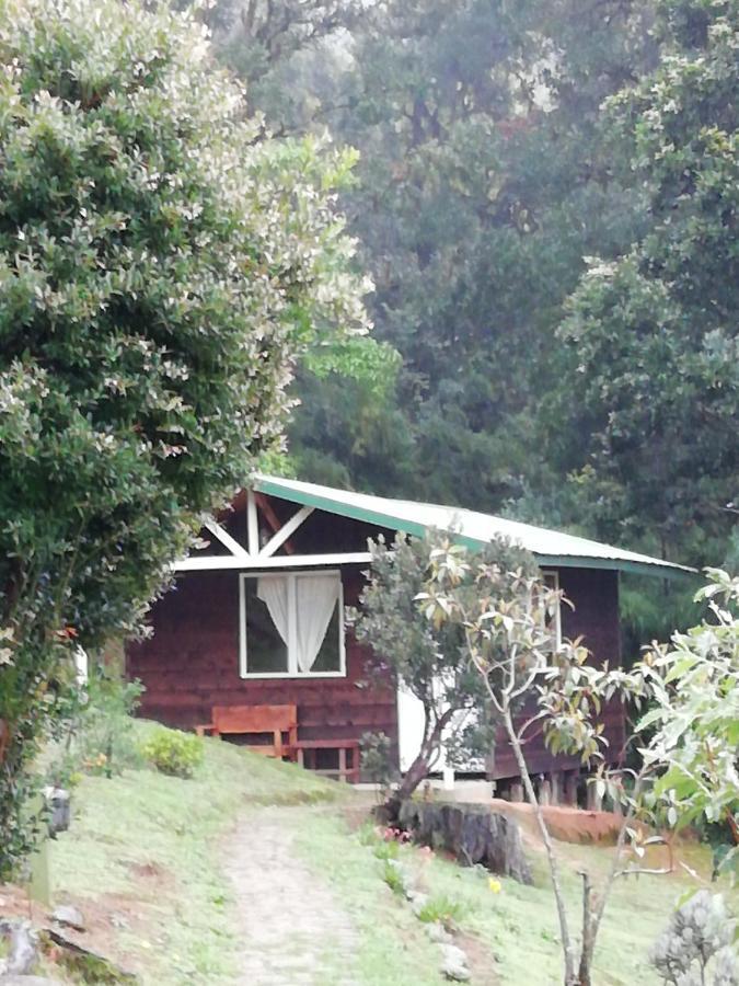 Miriam'S Quetzals Lodge San Gerardo de Dota Exterior photo
