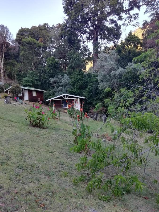 Miriam'S Quetzals Lodge San Gerardo de Dota Exterior photo