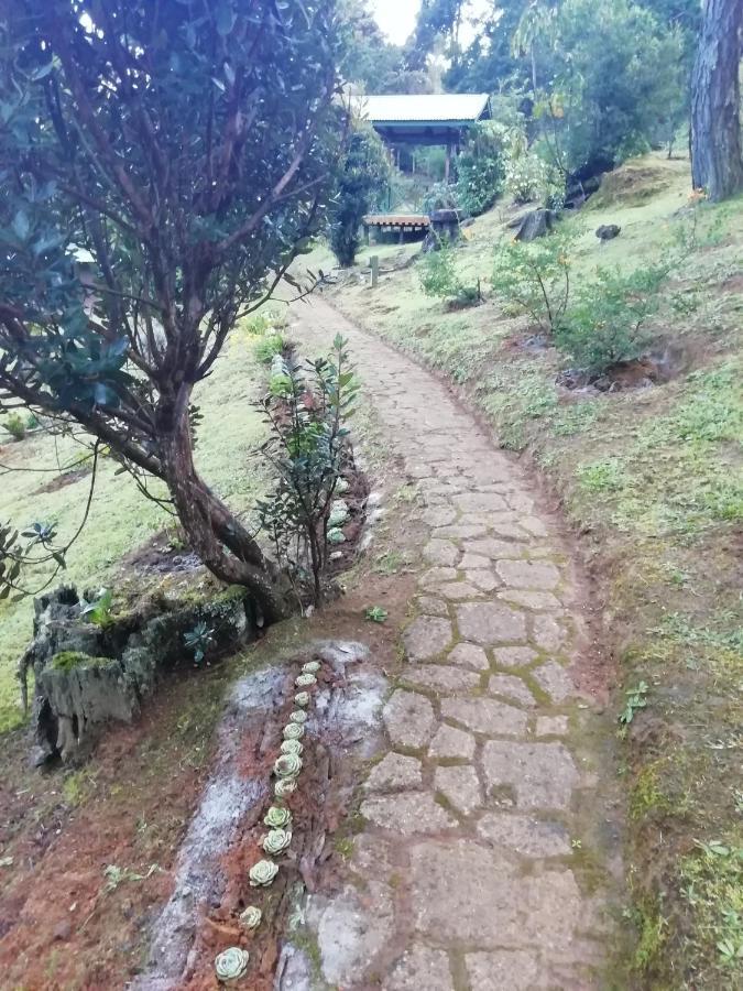 Miriam'S Quetzals Lodge San Gerardo de Dota Exterior photo