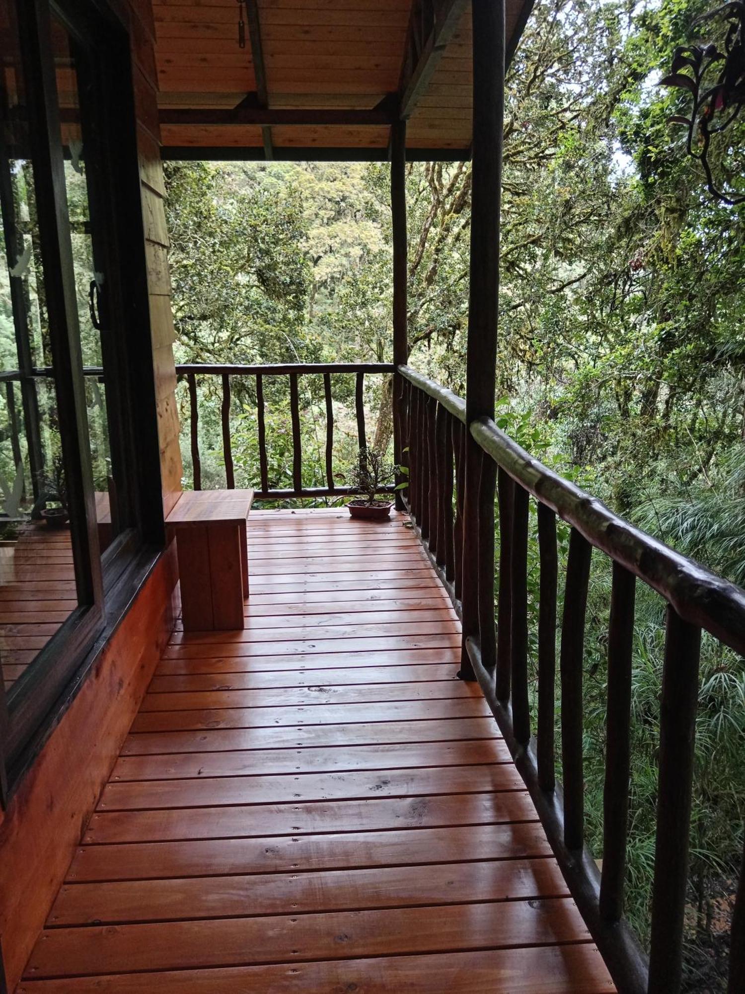 Miriam'S Quetzals Lodge San Gerardo de Dota Exterior photo