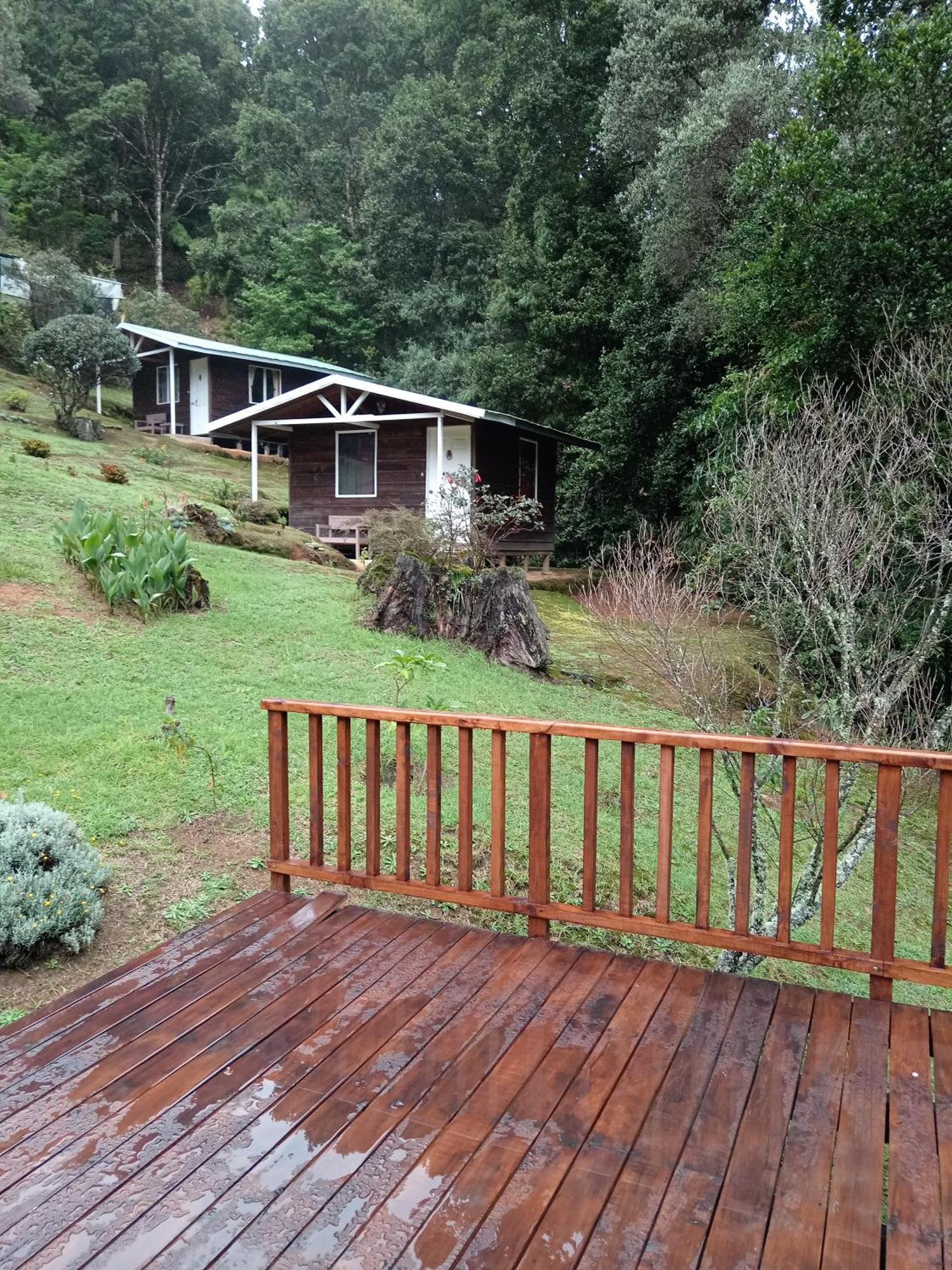 Miriam'S Quetzals Lodge San Gerardo de Dota Exterior photo